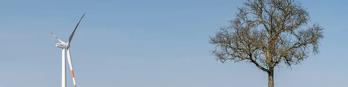 A wind turbine beside farmland and a tree.